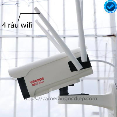 Camera yoosee 4 râu ngoài trời wifi