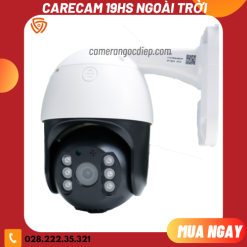 Form Website
