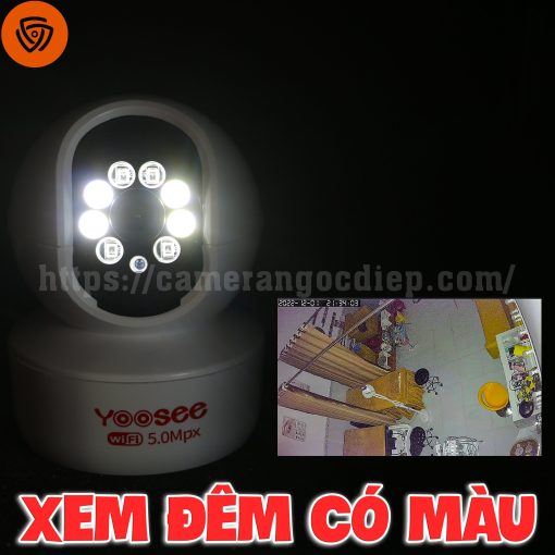 87fd942e0cfdd5a38cec