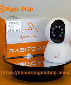 rabitcam không râu
