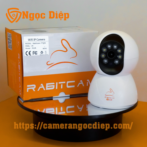 rabitcam không râu