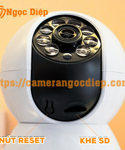 camera không râu