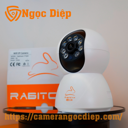 camera rabitcam không râu