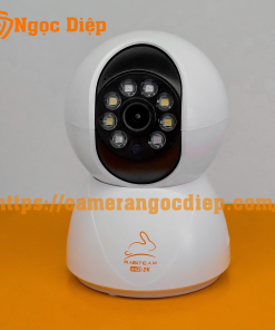 rabitcam không râu