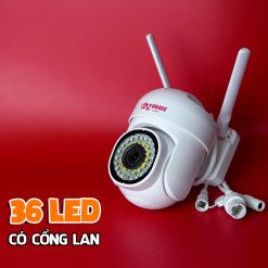 Z4445251612787 85cb2d08f9a91b9a363162950ca81ef7
