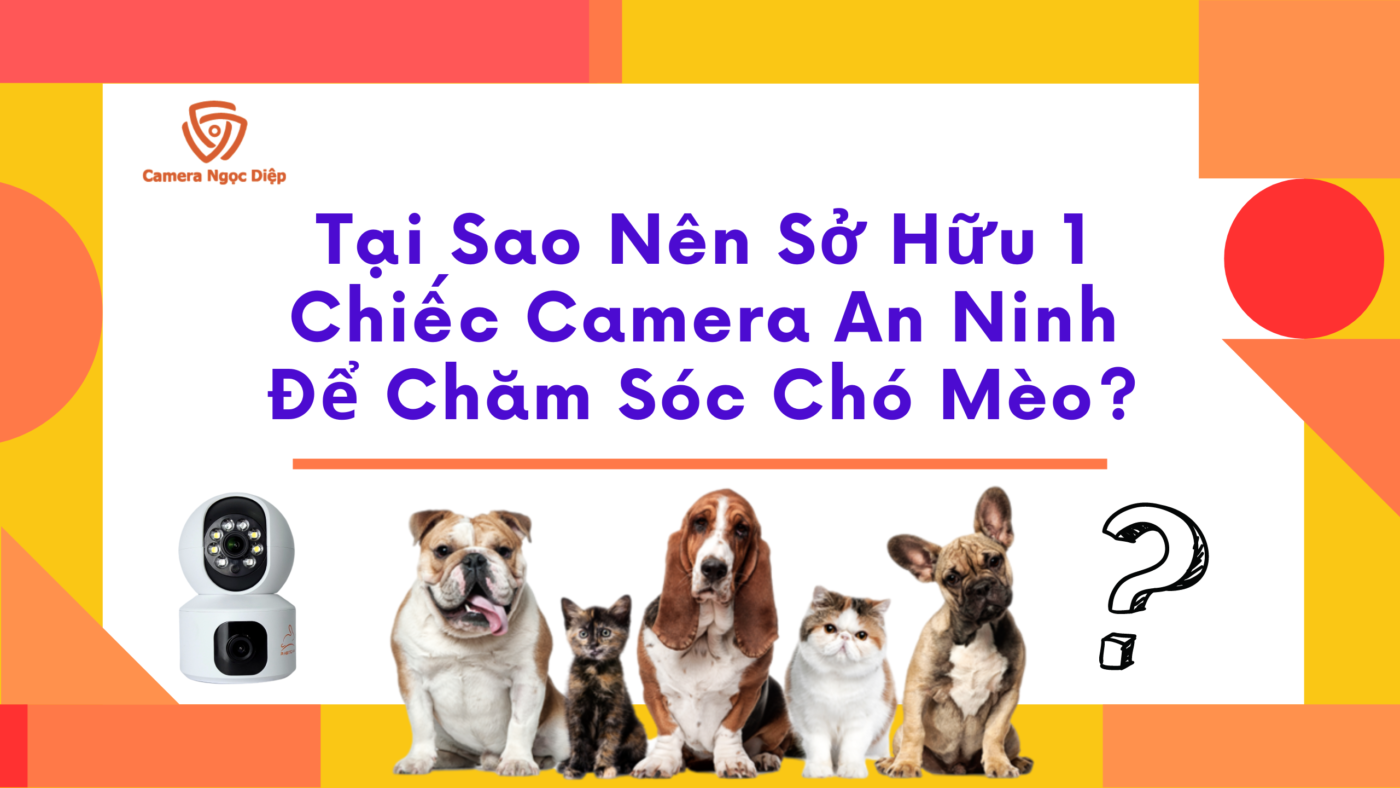 Tại Sao Nên Sở Hữu 1 Chiếc Camera An Ninh Để Chăm Sóc Chó Mèo (1)